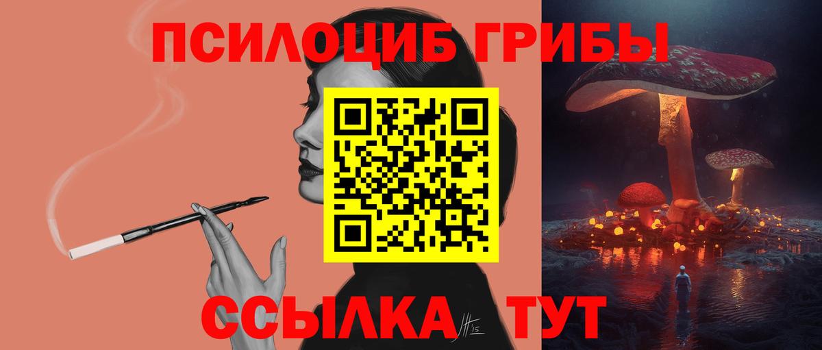 Галлюциногенные грибы Psilocybine cubensis  Вход с VPN  Черногорск 
